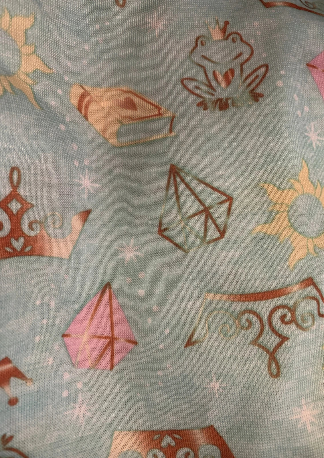 DISNEY PRINCESS " Courage Rocks " Top & Bottom Pajama Set Size 4 NWT