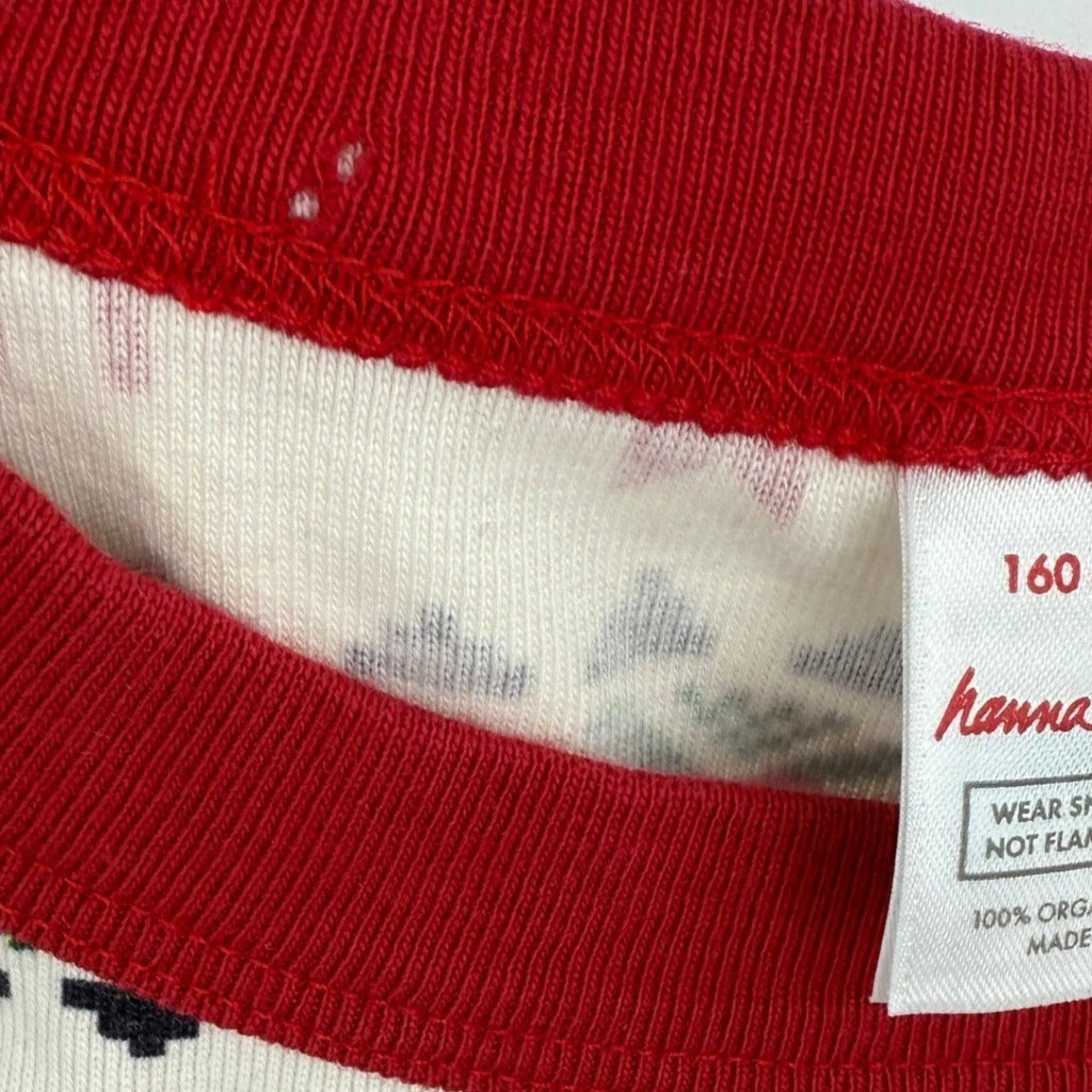 Hanna Andersson Christmas Reindeer Snowflakes Pajama Set Long Sleeve Top Pants