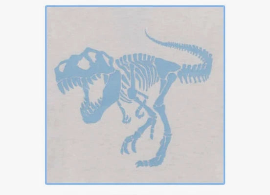 KIRKLAND BOYS 4 PC DINO/STRIPE PAJAMA SET (BLUES 10)NWT